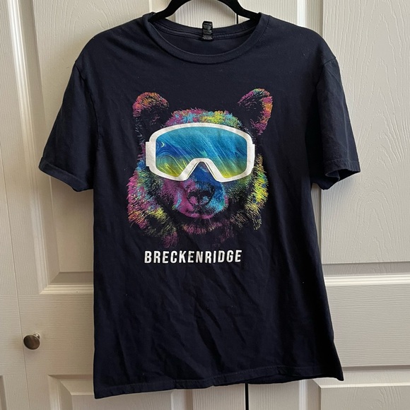 Other - 5 for $25! Breckinridge Colorado Snowboard Bear T-shirt Medium